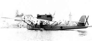 Dornier Wal D-4