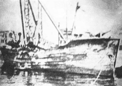 V-16 María